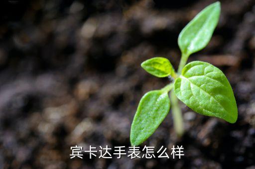 宾卡达手表是名表吗凯发k8网站宾卡达(图1)