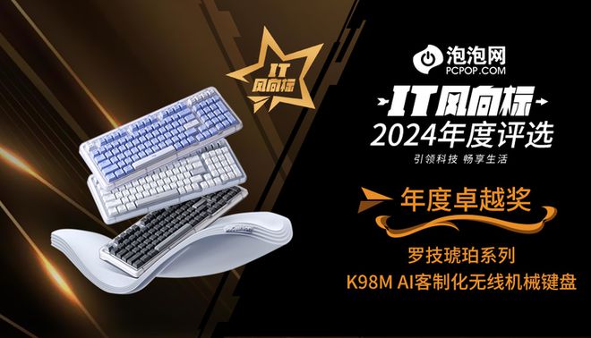 2024年度评选：年度卓越奖K8凯发登录【IT风向标】(图7)