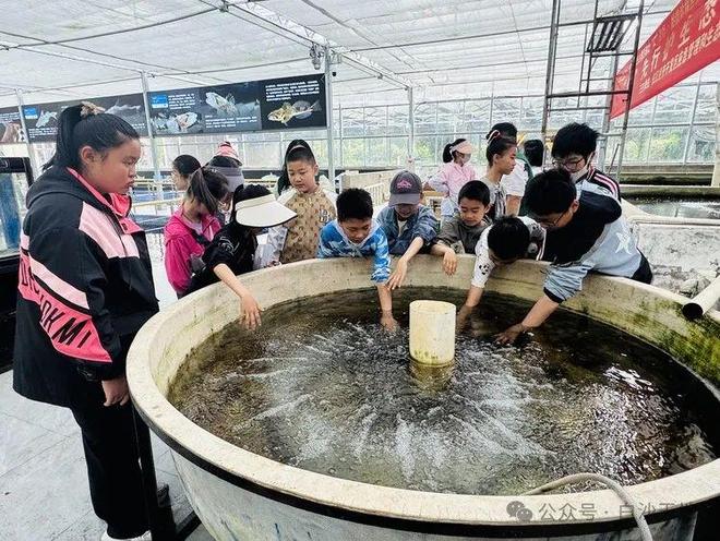 意义的活动在仪征展开以画为媒! 一场超有(图4)