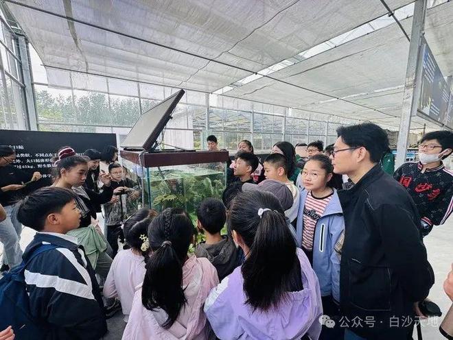 意义的活动在仪征展开以画为媒! 一场超有(图3)
